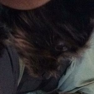 Meet your Posher, June